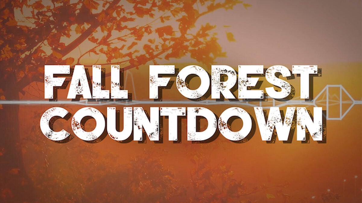 Fall Forest Countdown image number null